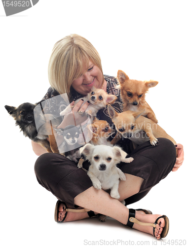 Image of girl and chihuahuas