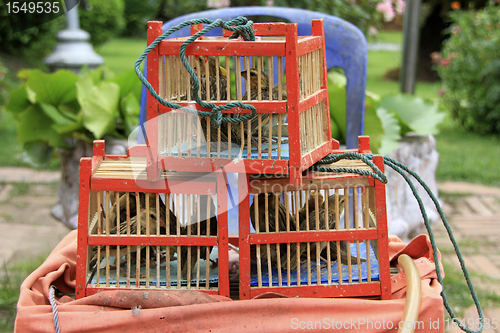 Image of Wooden cages