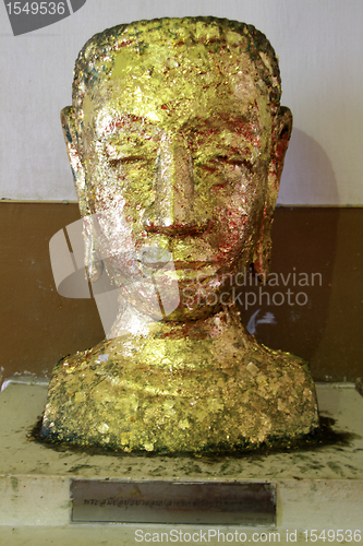 Image of Golden head