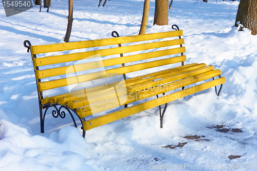 Image of Yellow bench in winter park
