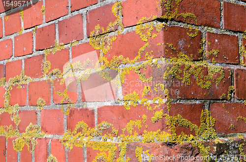 Image of old mossy red brick wall corner backdrop 