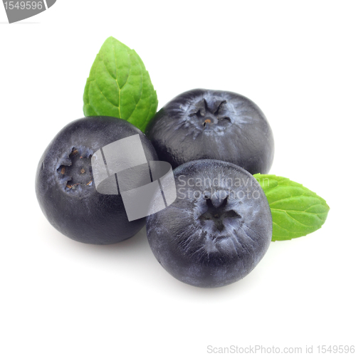 Image of Blueberry with mint