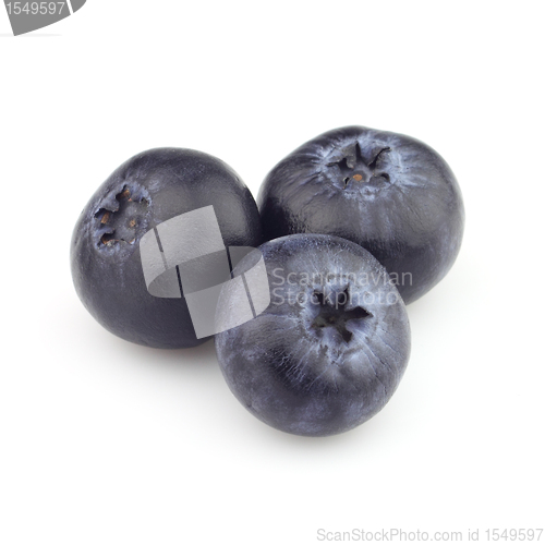 Image of Blueberry in closeup