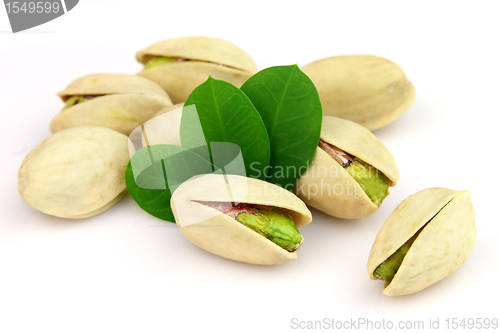Image of Pistachio 