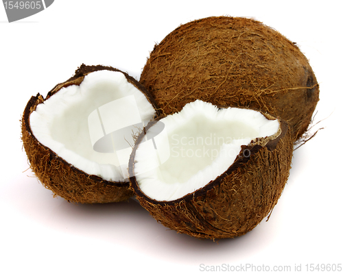 Image of Coconut