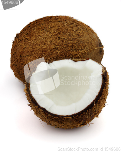 Image of Fresh coconut