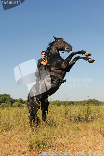 Image of rearing horse