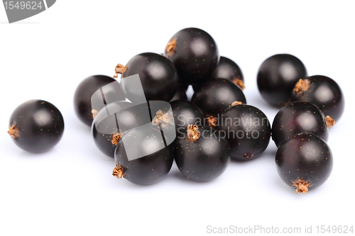Image of Ripe blackcurrant