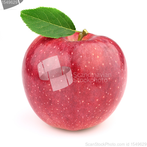 Image of Sweet apple with leaves
