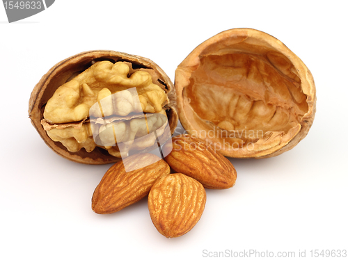 Image of Walnuts with almonds