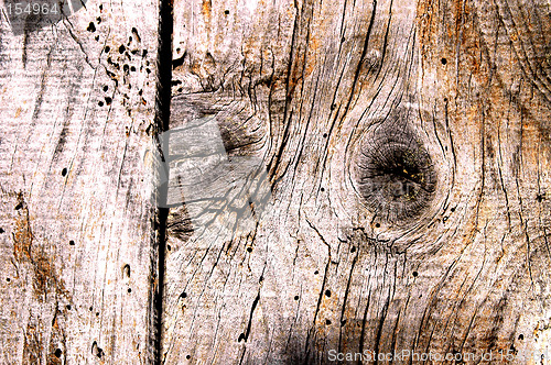 Image of  wood texture