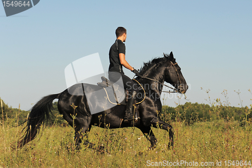 Image of young man and horse