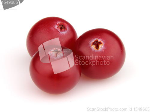 Image of Fresh cranberry