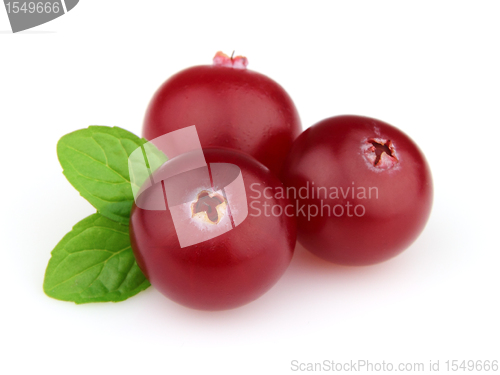 Image of Cranberry with mint