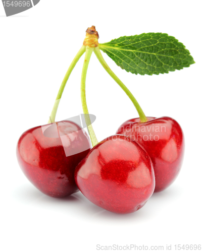 Image of Ripe cherry with leaves