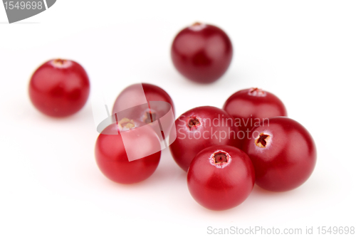 Image of Ripe cranberry