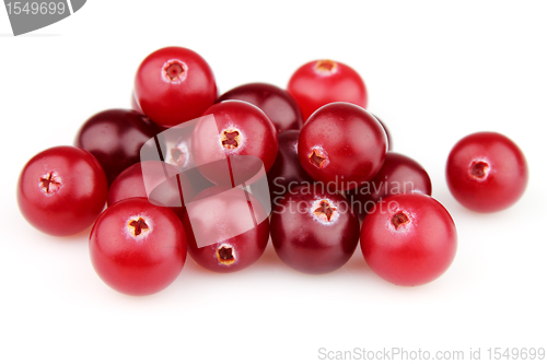 Image of Fresh cranberry