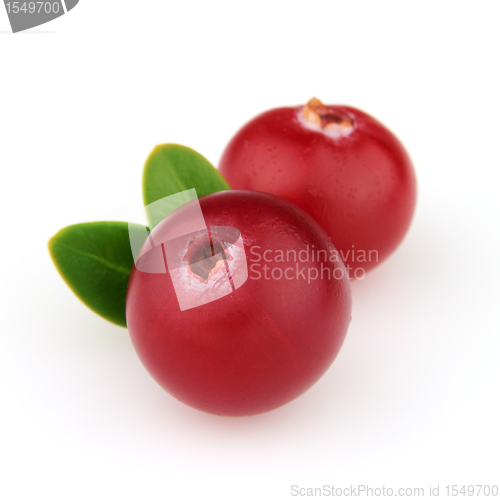 Image of Fresh cranberry with leaves