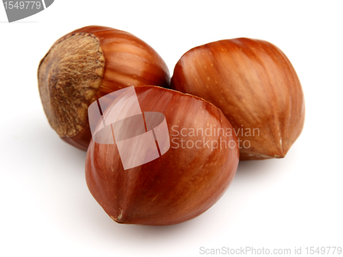Image of Dried hazelnuts
