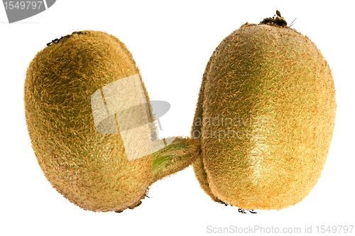 Image of kiwifruit