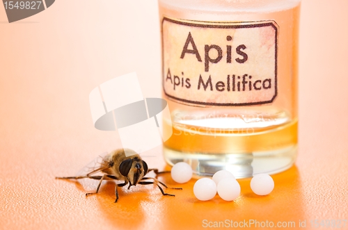 Image of Apis Mellifica homeopathic pills, poison and bee