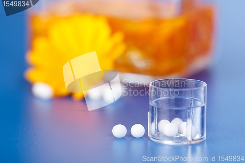 Image of Homeopathic pills in front of Calendula plant extract