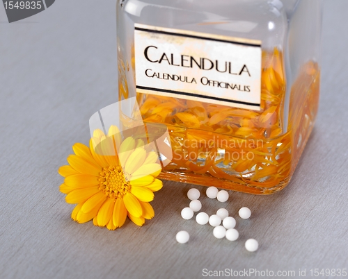 Image of Calenudla Officinalis plant extract