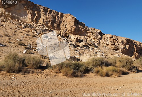 Image of Wall of the desert canyon