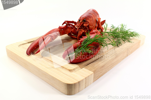 Image of lobster