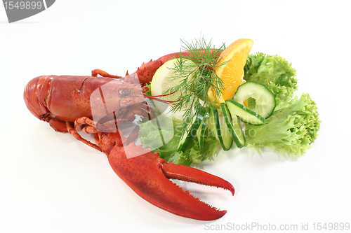 Image of lobster