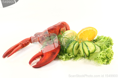 Image of lobster