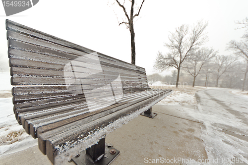 Image of Park Bench