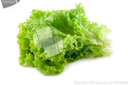 Image of green salad leaf 