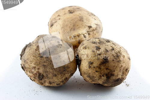 Image of dirty new potatoes