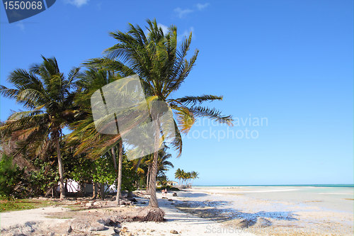 Image of Cuba beach