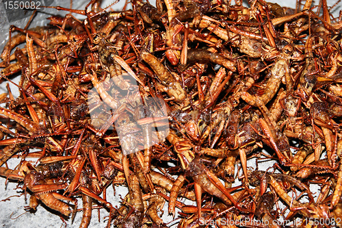 Image of Fried crickets