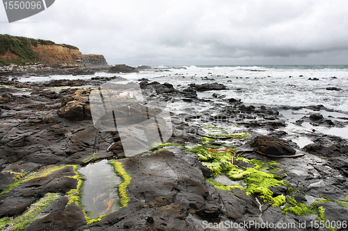Image of New Zealand - Curio Bay
