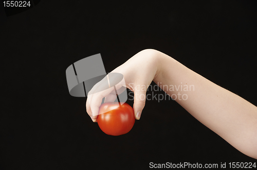 Image of Childs hand with tomatoe