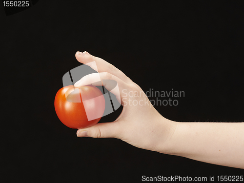 Image of Childs hand with tomatoe