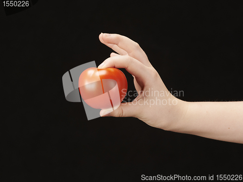 Image of Childs hand with tomatoe