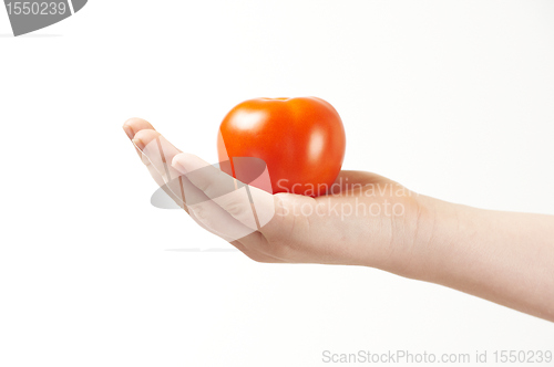 Image of Childs hand with tomatoe and palm facing up