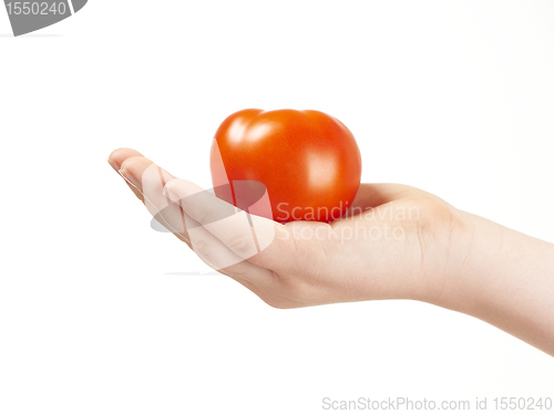 Image of Childs hand with tomatoe and palm facing up