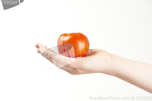 Image of Childs hand with tomatoe and palm facing up