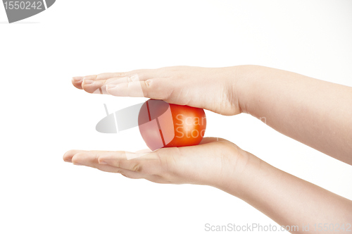 Image of Tomatoe sandwiched between childs hands