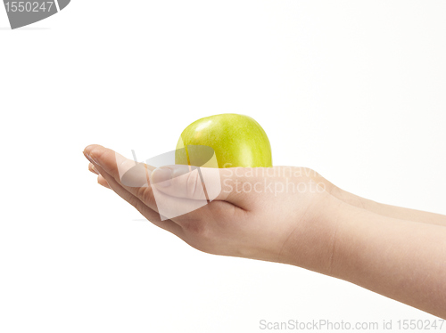 Image of Apple in the palms og childs hands