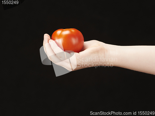 Image of Childs hand with tomatoe and palm facing up