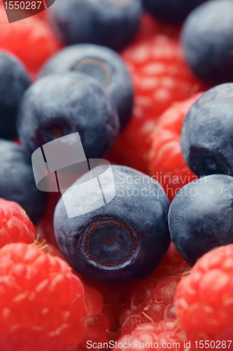 Image of Raspberries & Blueberries 