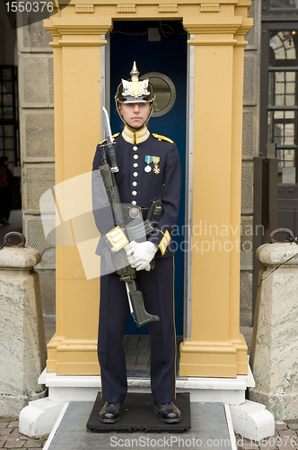 Image of Sweden Royal guards