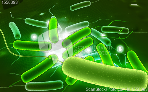 Image of coli bacteria	