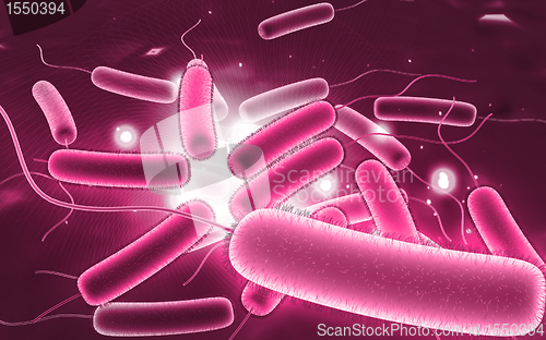 Image of coli bacteria	